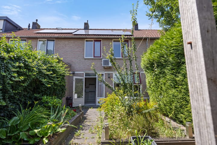 Foto 25 van de Esdoorn 34