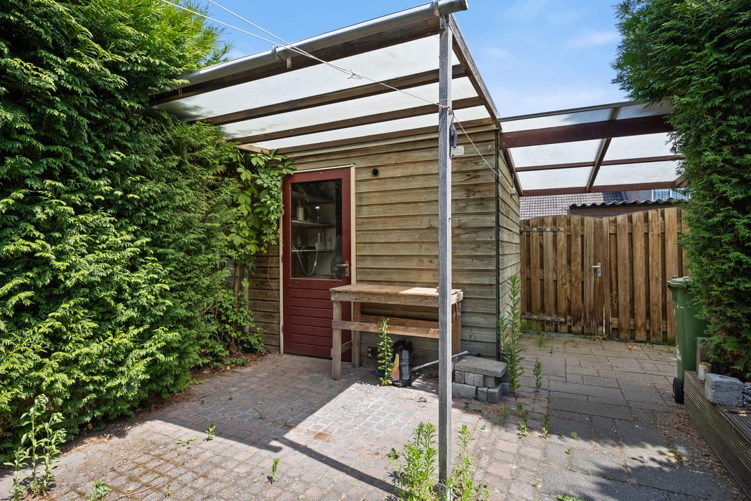 Foto 26 van de Esdoorn 34