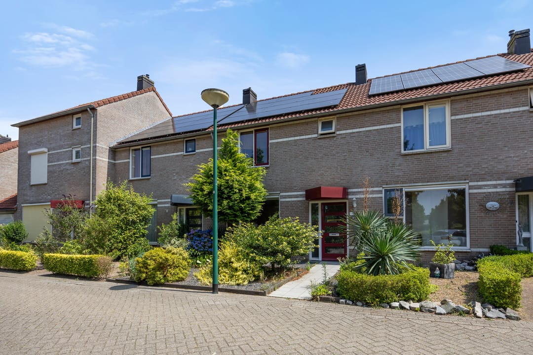 Foto 31 van de Esdoorn 34