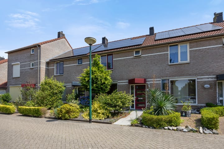 Foto 31 van de Esdoorn 34