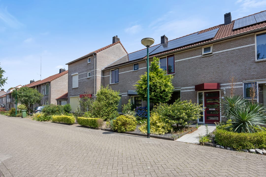 Foto 32 van de Esdoorn 34