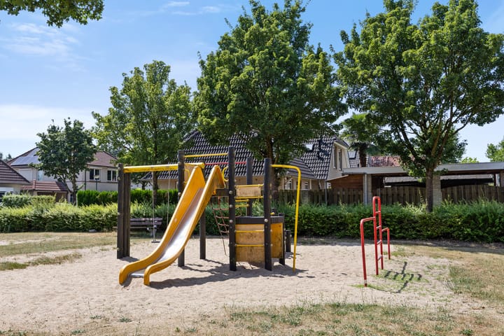 Foto 33 van de Esdoorn 34