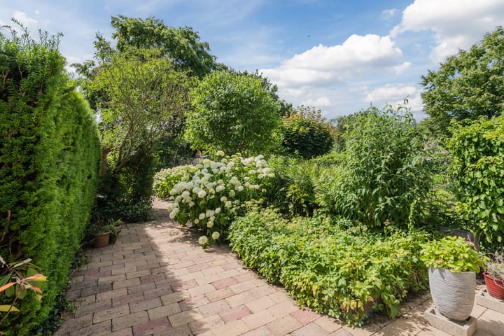 Foto 35 van Karveel 58 56