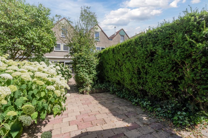 Foto 38 van Karveel 58 56