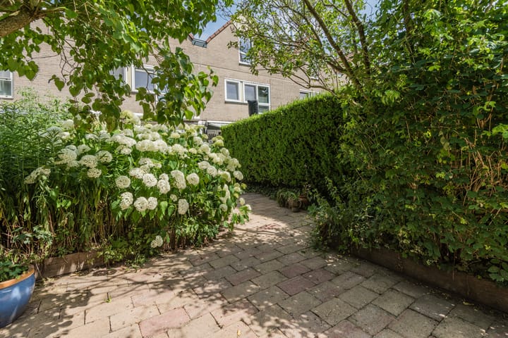 Foto 39 van Karveel 58 56