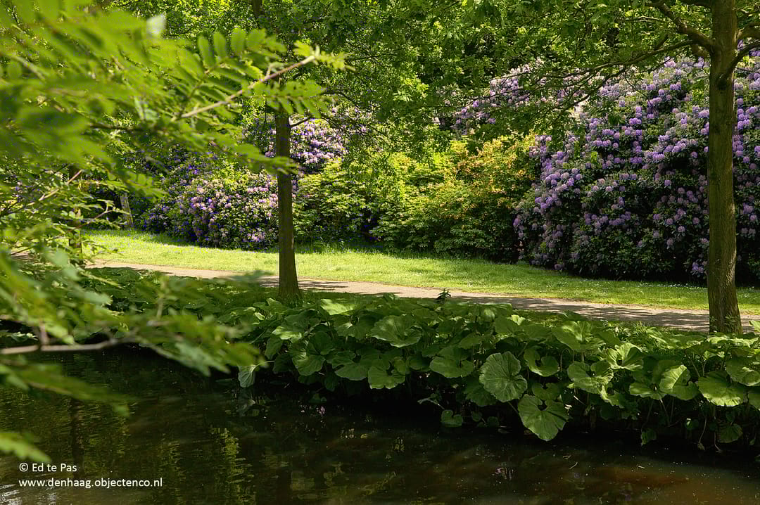 Foto 31 van Ouverturestraat 36-C