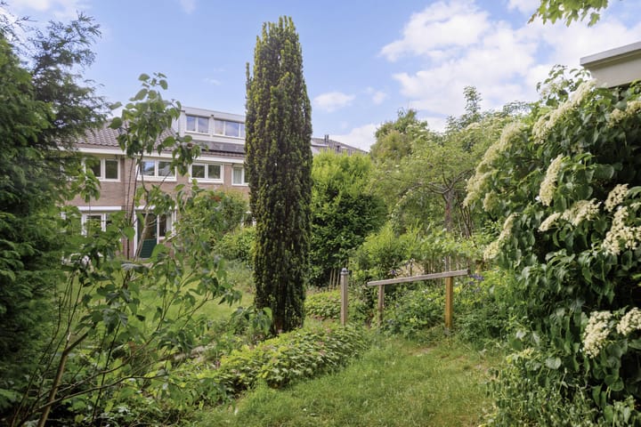 Foto 23 van Raapopseweg 2