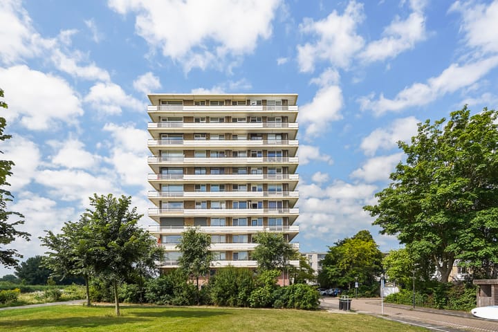 Foto 38 van Jan Steenstraat 80