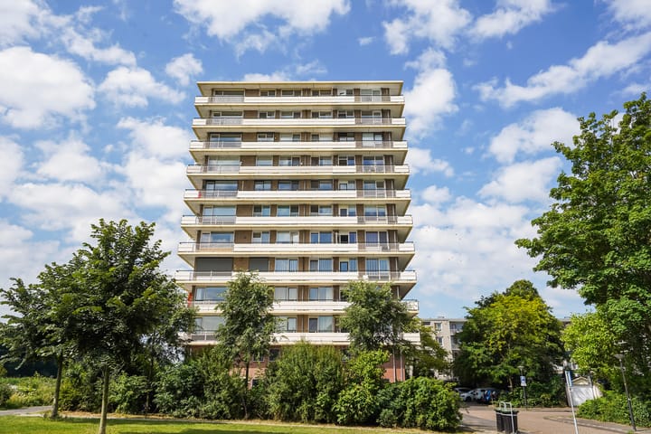 Foto 39 van Jan Steenstraat 80