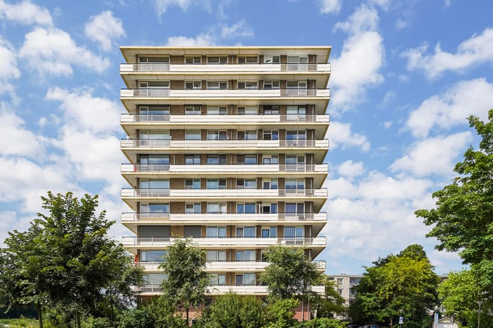 Foto 40 van Jan Steenstraat 80