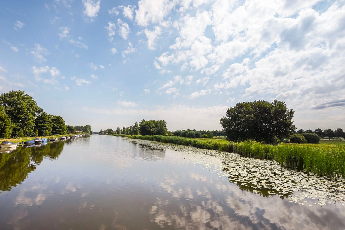 Photo 55 of Jan Steenstraat 80