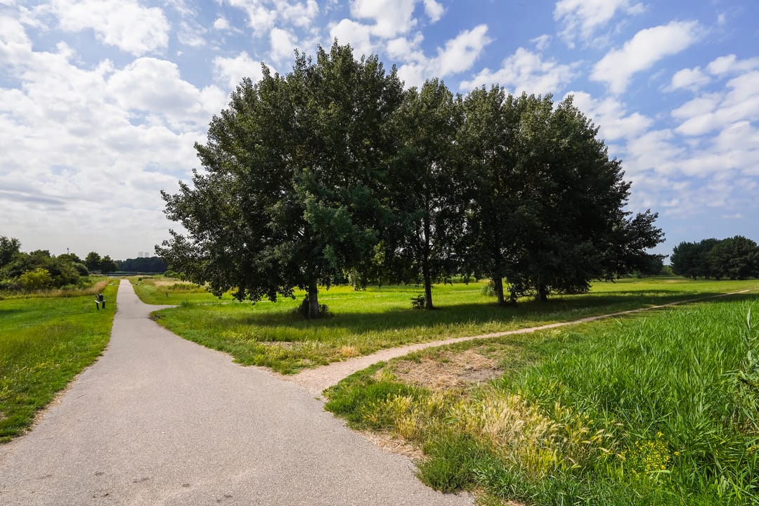 Photo 56 of Jan Steenstraat 80