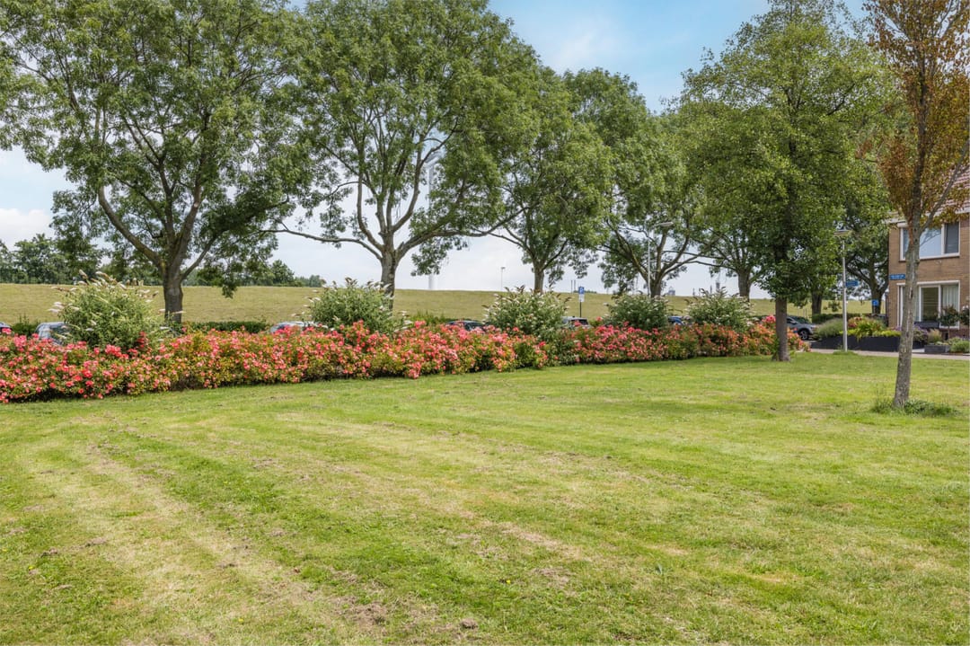 Photo 43 of Hooftweg 69