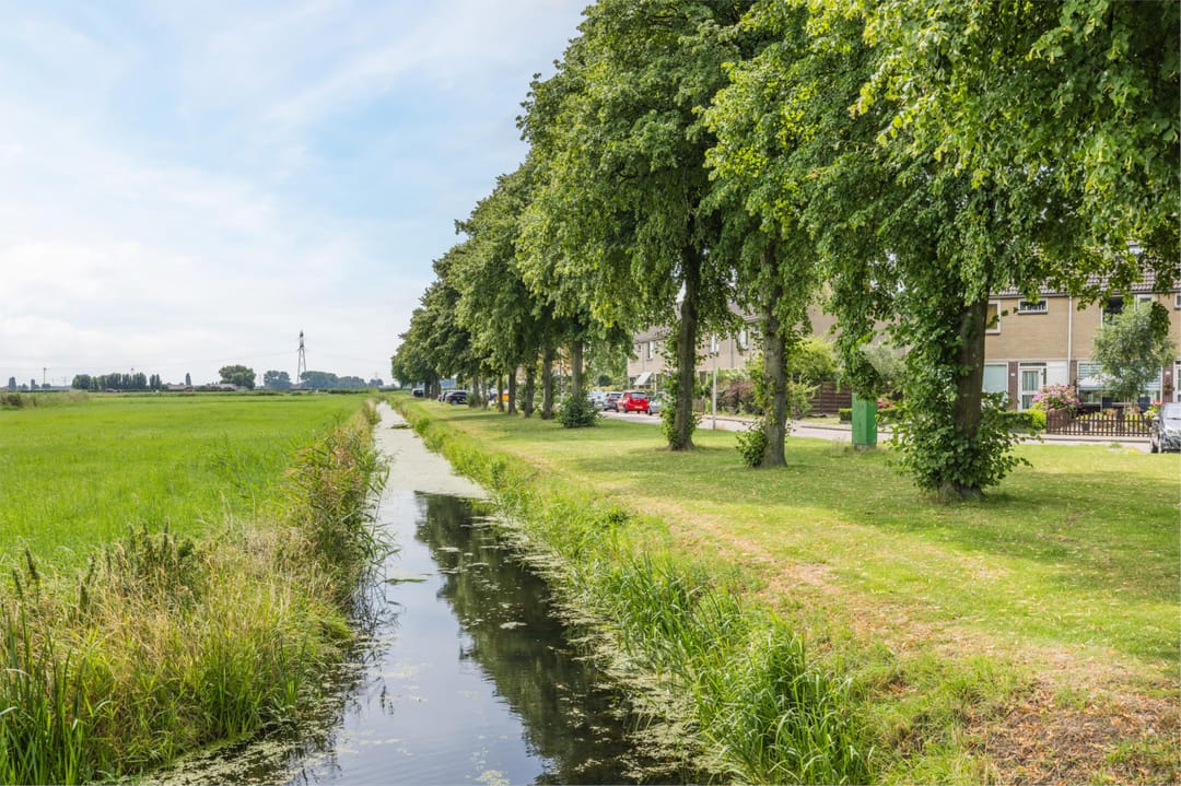 Photo 46 of Hooftweg 69