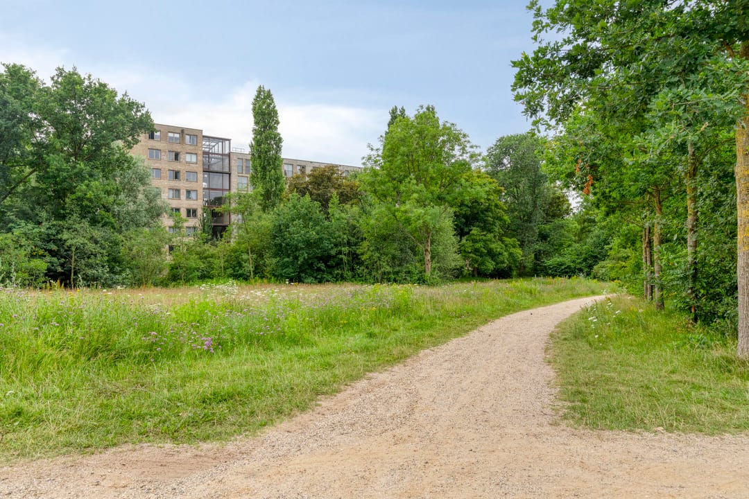 Foto 41 van Stalpaertstraat 76