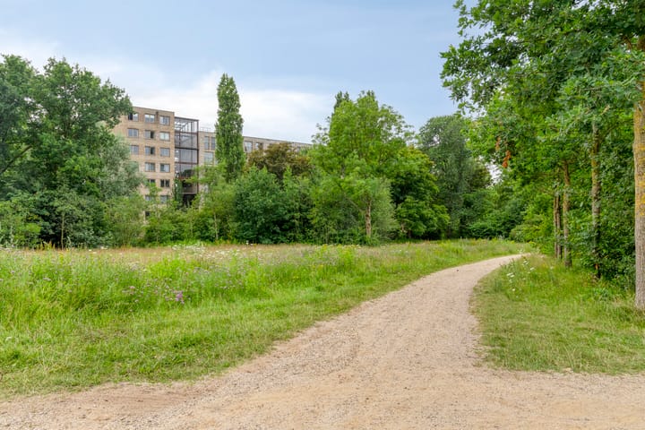 Foto 41 van Stalpaertstraat 76