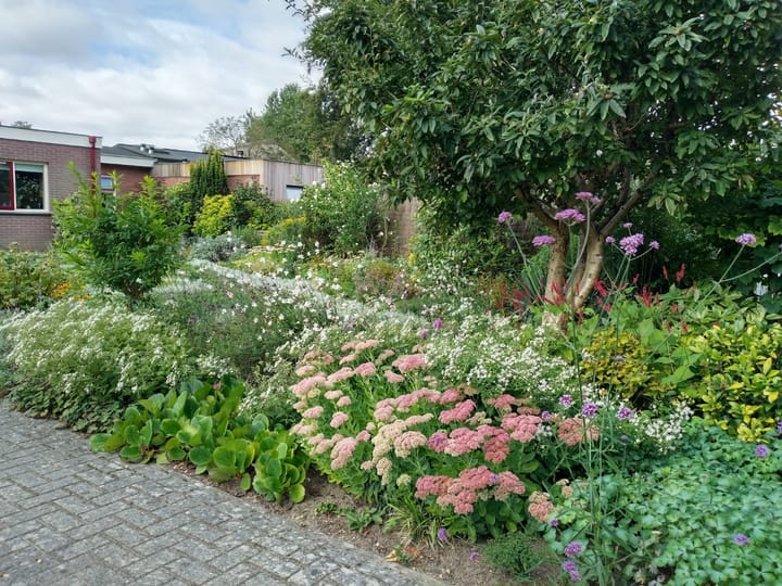 Foto 31 van De Wolzaklaan 18-A