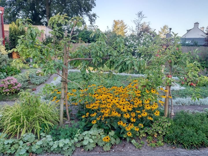 Foto 33 van De Wolzaklaan 18-A