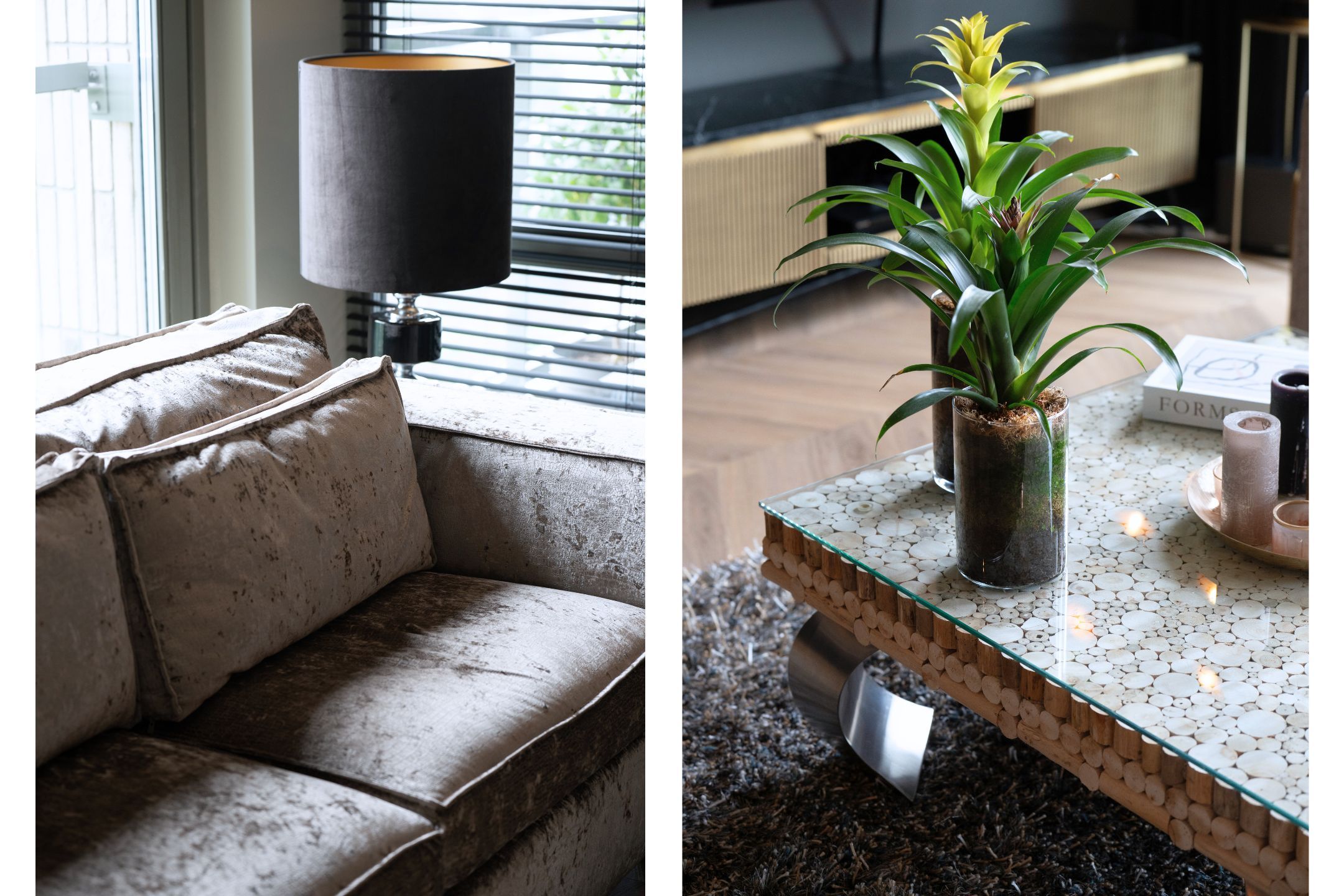 Foto 6 van Terheijdenstraat 290