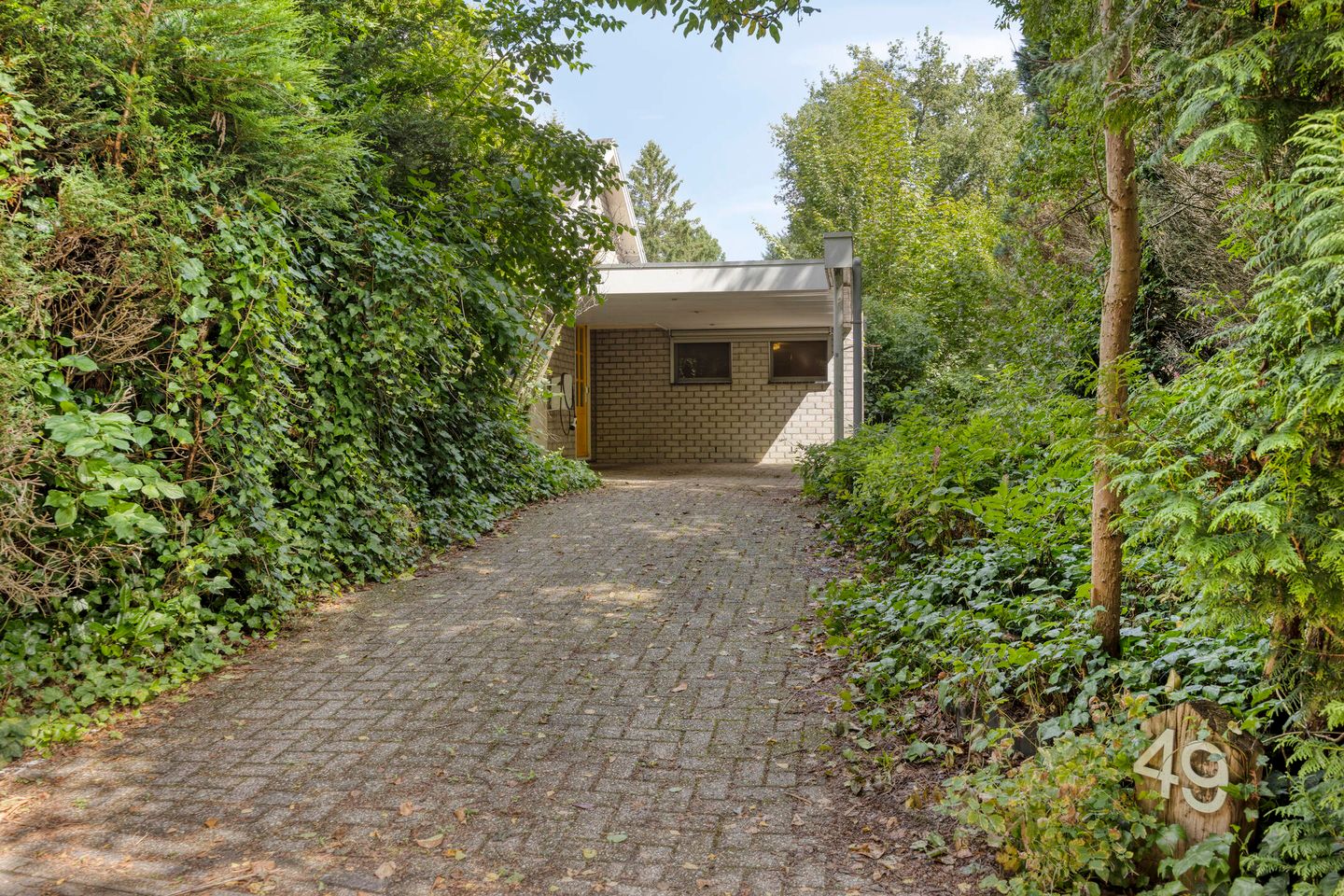 Foto 4 van Reewoude 49