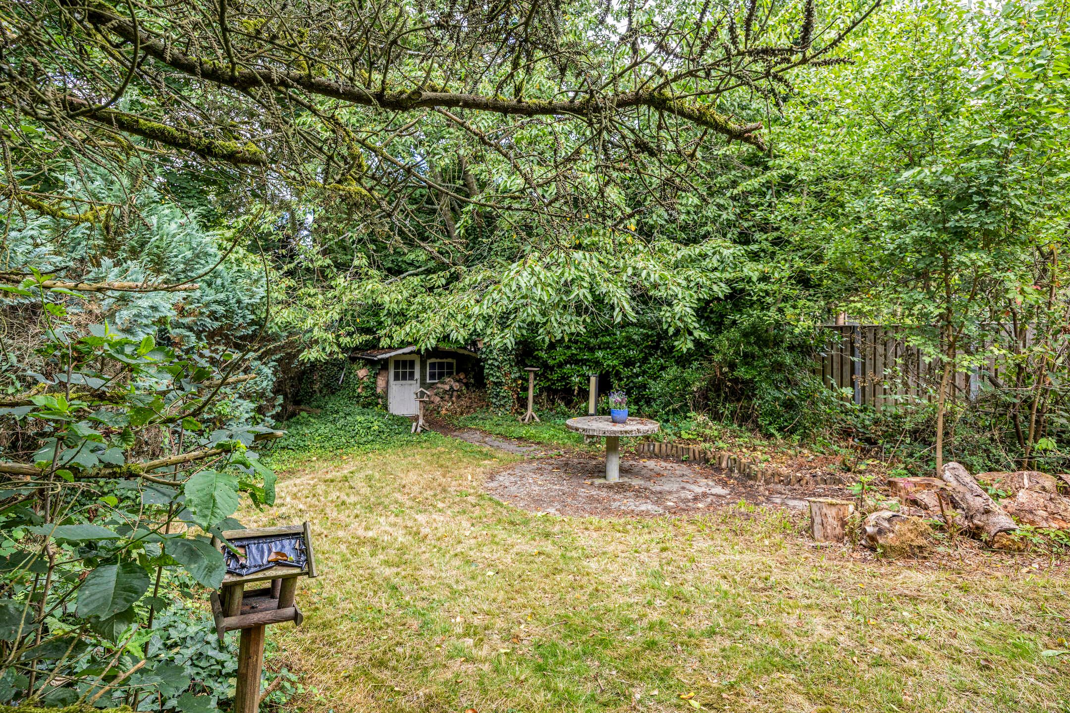 Foto 30 van Reewoude 49