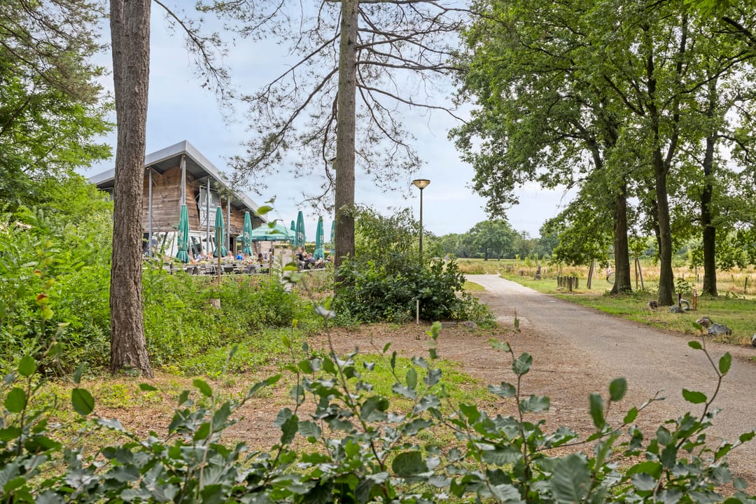 Foto 37 van Reewoude 49