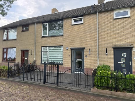 undefined main image