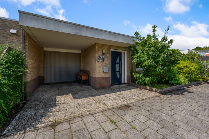 Foto 2 van Vogelkers 32