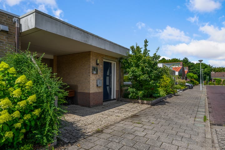 Foto 3 van Vogelkers 32