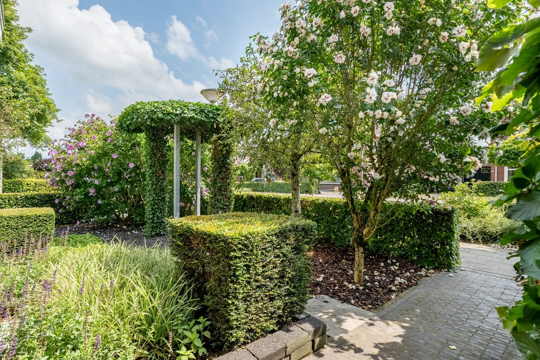 Foto 58 van Molckenbourstraat 1