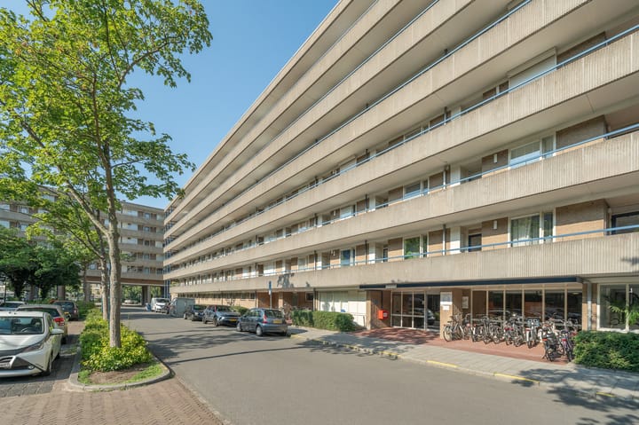 Foto 1 van Aert van Neslaan 432