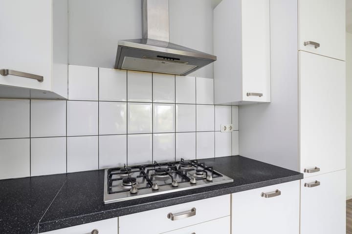 Foto 14 van Aert van Neslaan 432