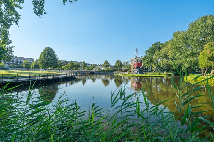 Foto 24 van Aert van Neslaan 432