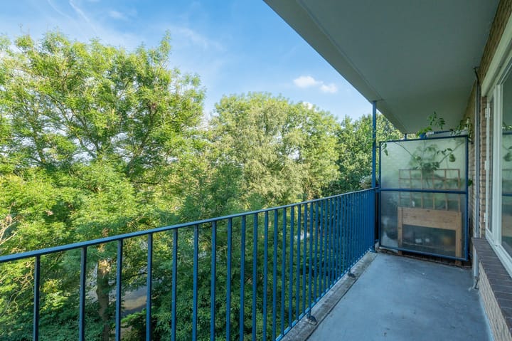 Foto 27 van Aert van Neslaan 432