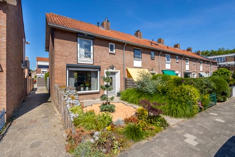 undefined main image