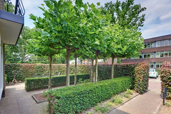 Foto 48 van Julianalaan 22