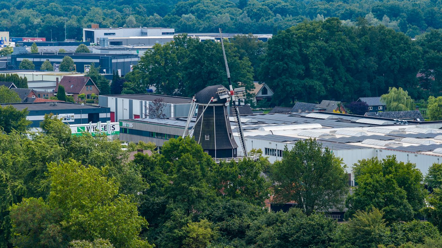 Foto 40 van Dahliastraat 19