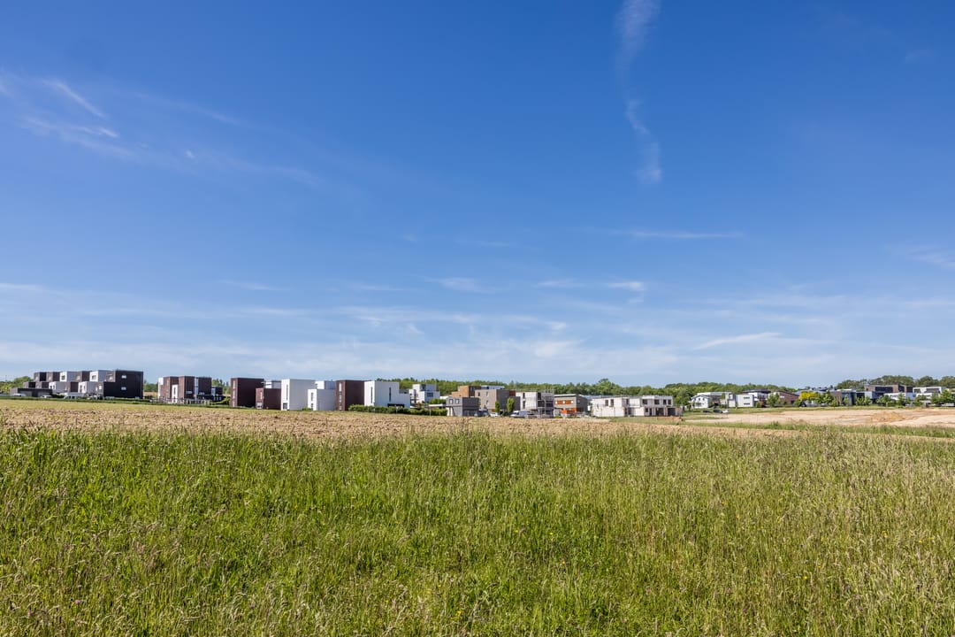 Photo 16 of Boterbloem (Bouwnr. 92)