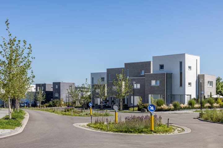 Foto 6 van Koekoeksbloem (Bouwnr. 87)