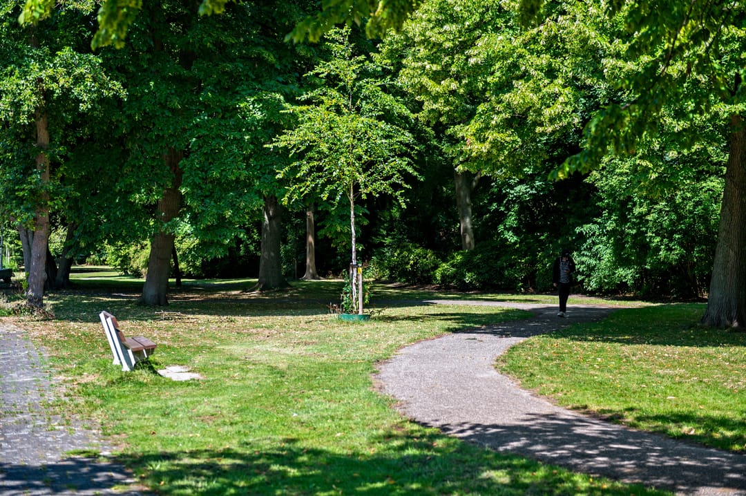 Foto 32 van Koopmansstraat 1-F310