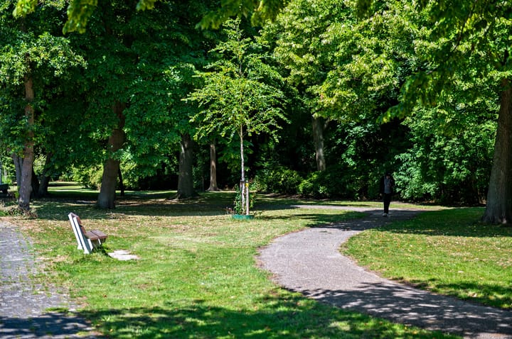 Foto 32 van Koopmansstraat 1-F310