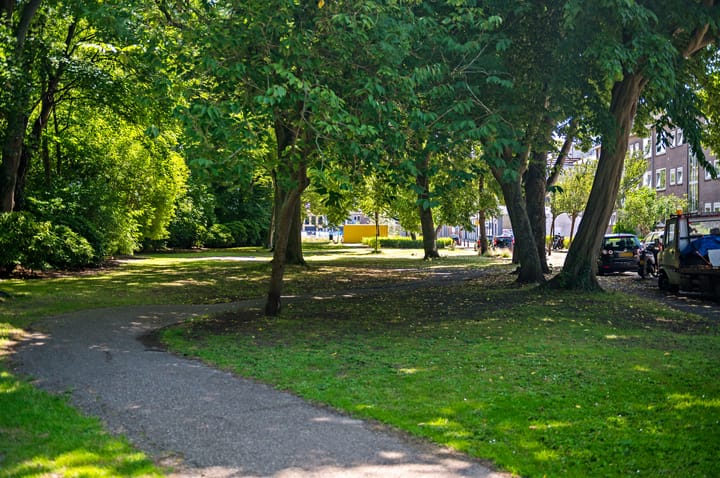 Foto 33 van Koopmansstraat 1-F310