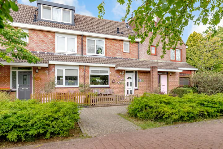 Foto 2 van Botter 35 20