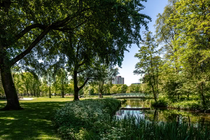 Foto 25 van Orteliusstraat 156-3