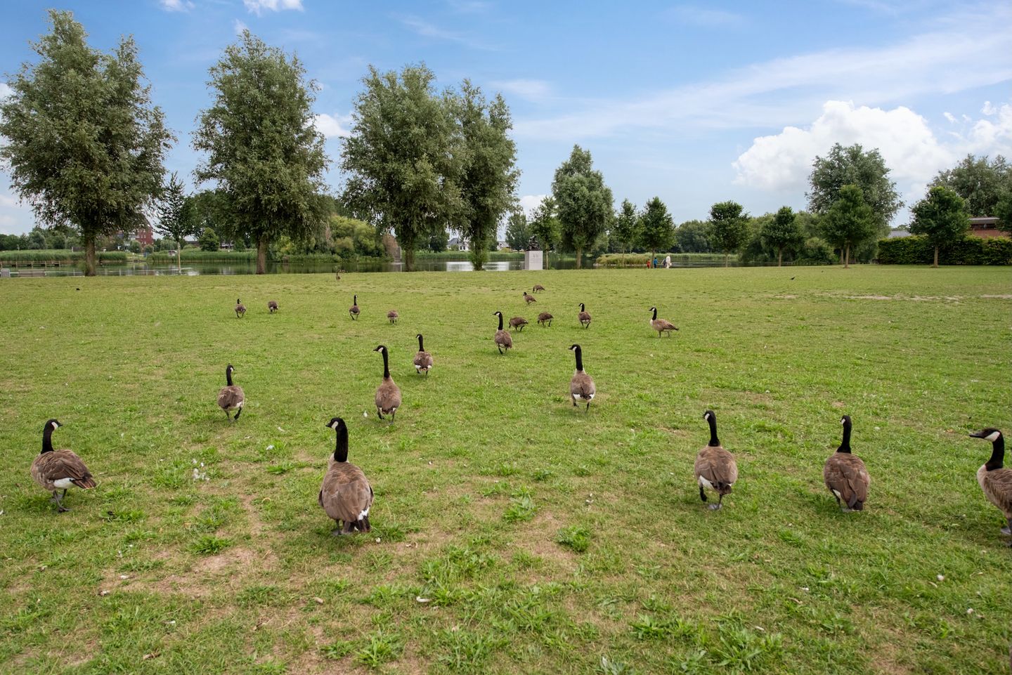 Foto 29 van Rijswijkse Landingslaan 410