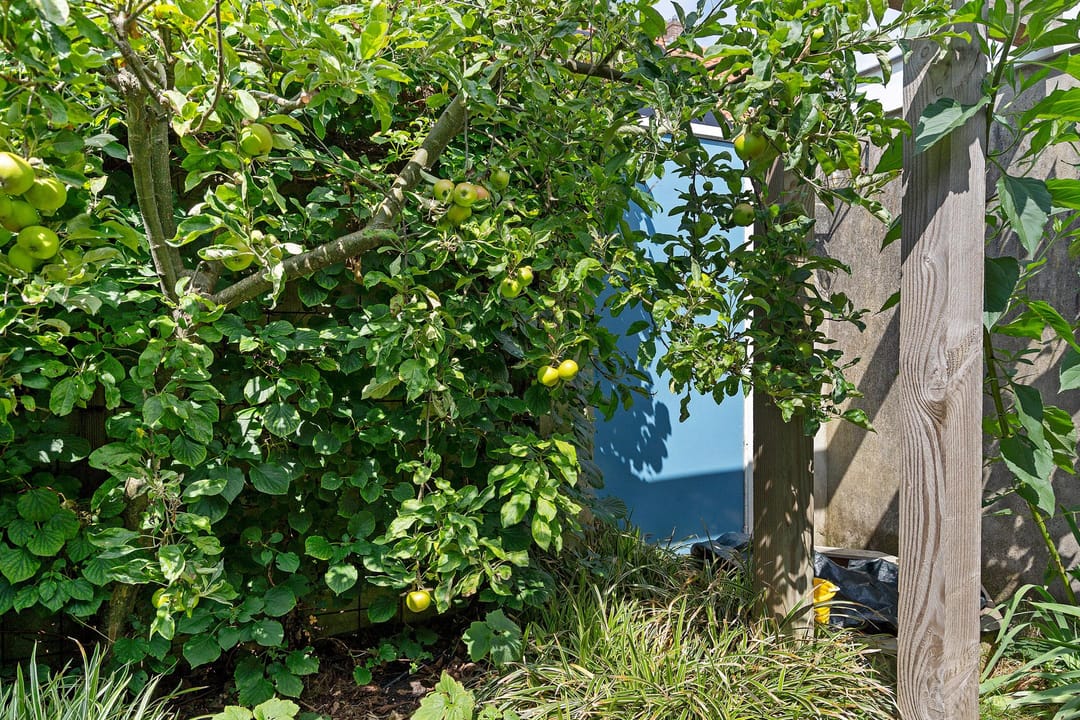 Foto 26 van Lambrecht van Dalelaan 33