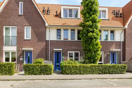 undefined main image