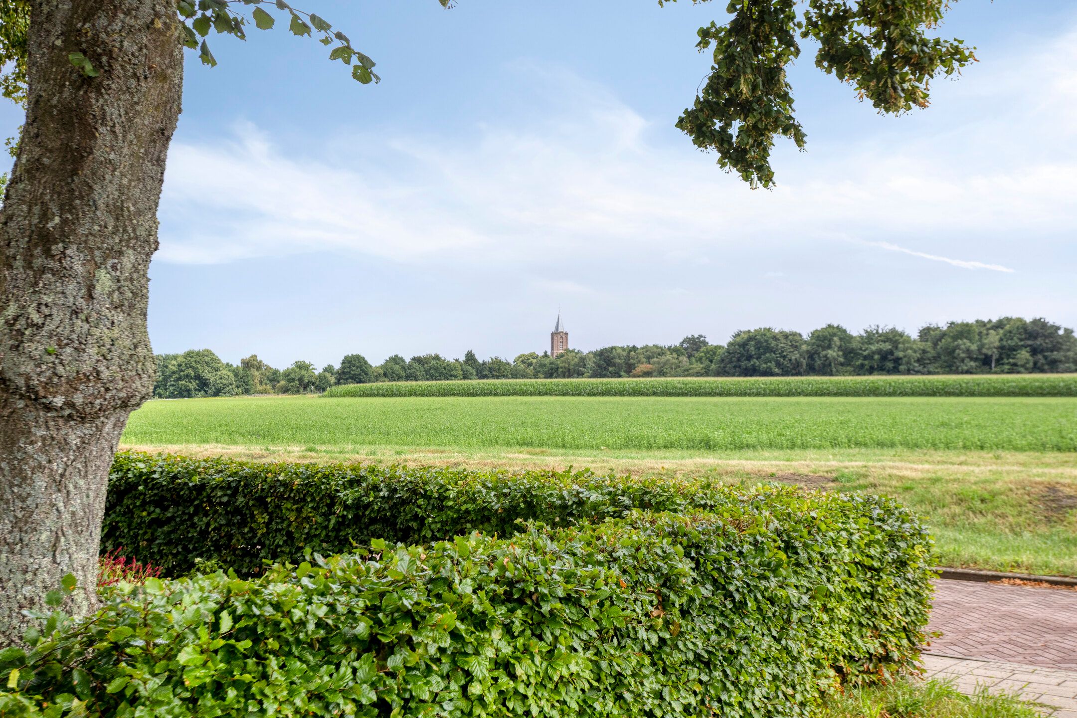 Foto 24 van Albert Cuyplaan 198-C