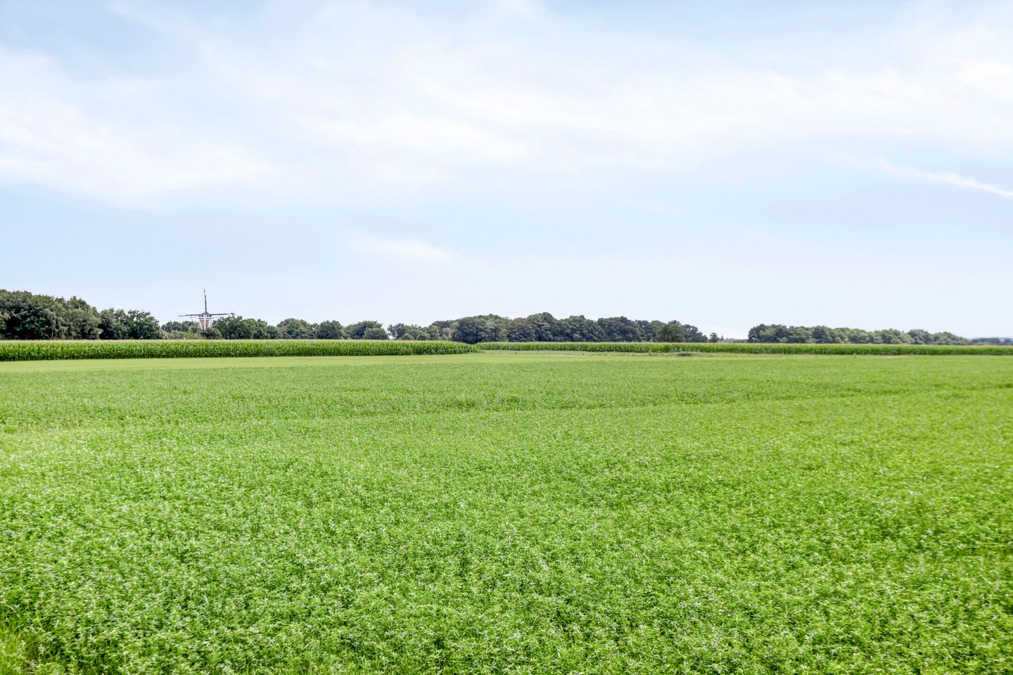 Foto 25 van Albert Cuyplaan 198-C