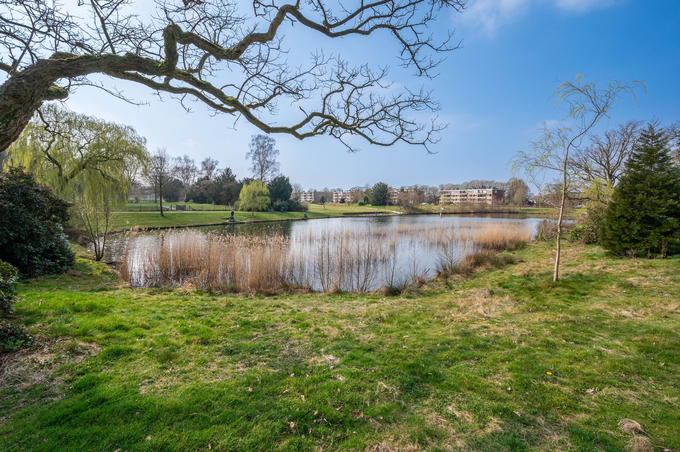 Foto 24 van Ruys de Beerenbrouckstraat 127